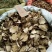 葛根片，切片新货野生葛根片，批发十斤起售欢迎订购