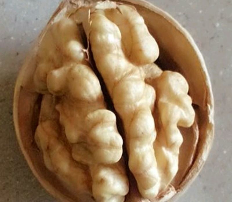 新疆核桃，一条龙服务