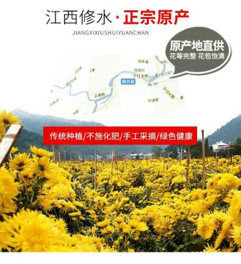 金丝皇菊茶买十盒送一套