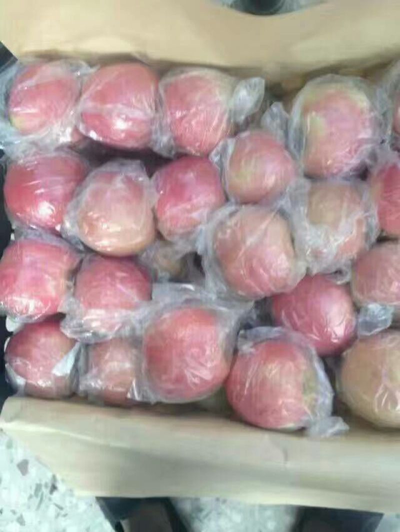 苹果70mm以上膜袋