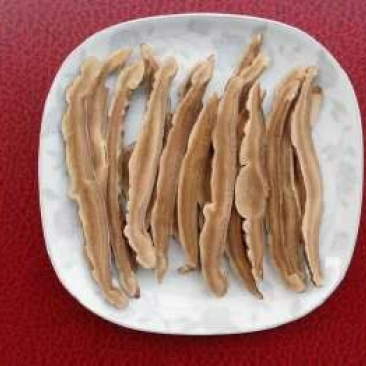 灵芝切片12~15公分