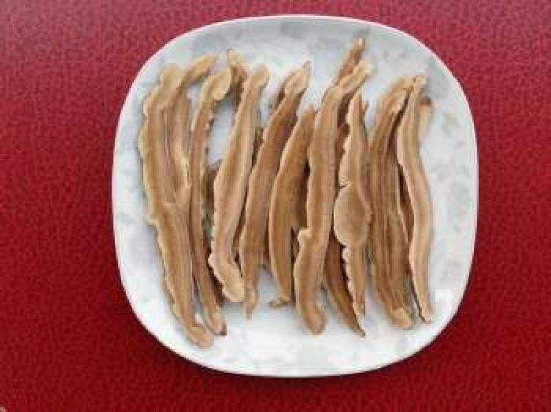 灵芝切片12~15公分