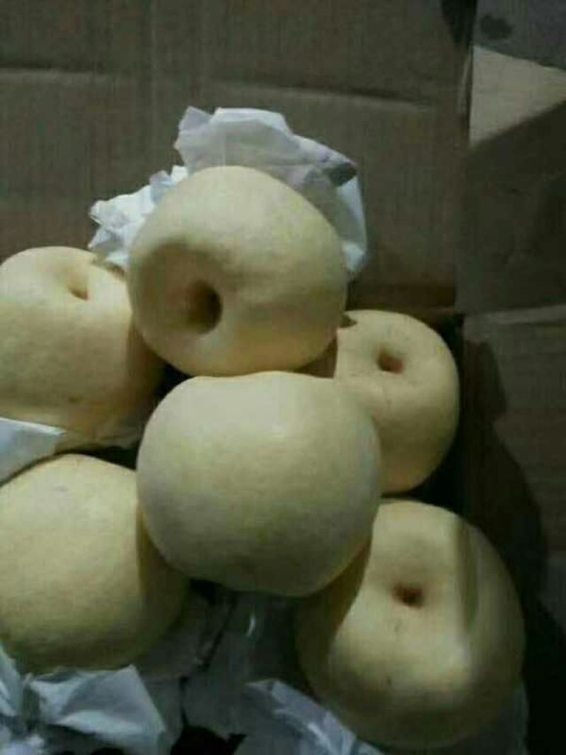 贡梨纸袋酥梨需要的联系，个头均匀，口感好抓紧时间联系