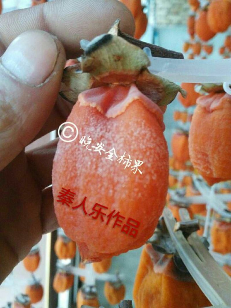 柿饼1~2两