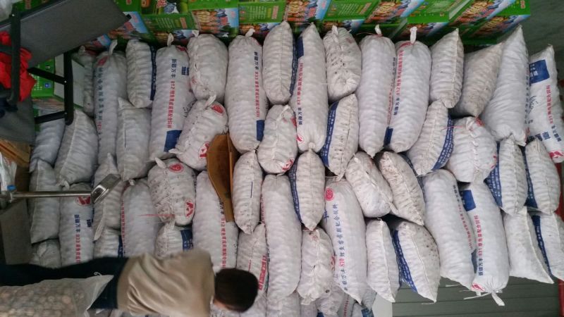 新货产地直销质量保证包退包换云南大泡核桃云南核桃