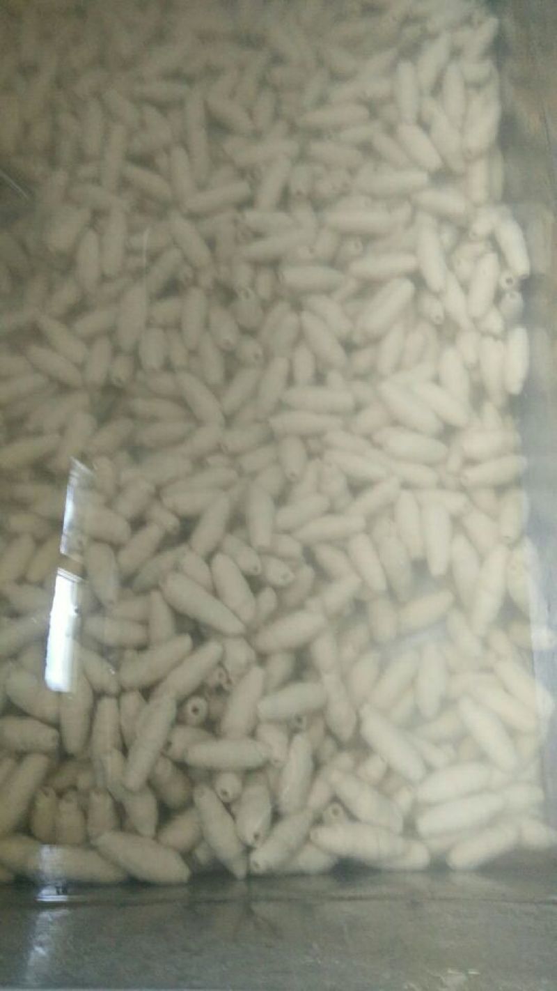 面筋