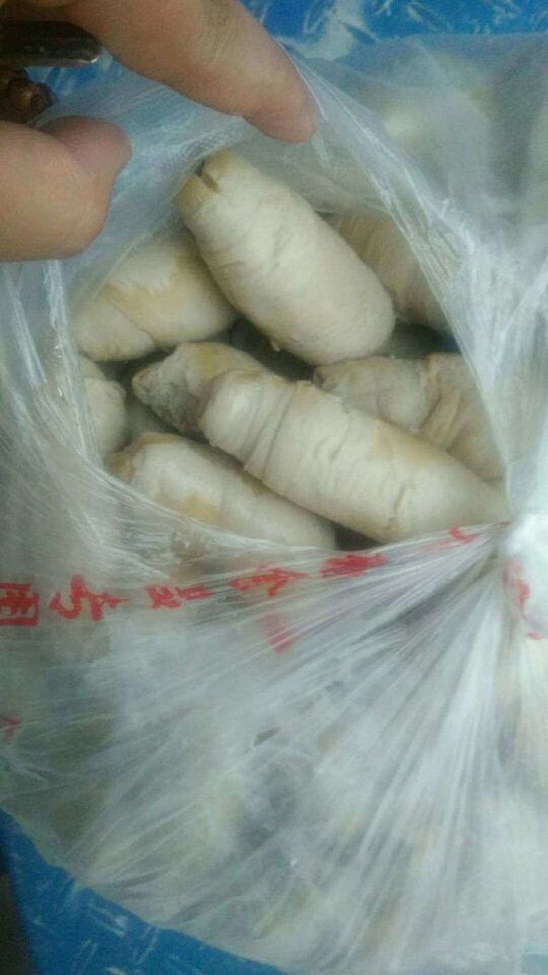 面筋