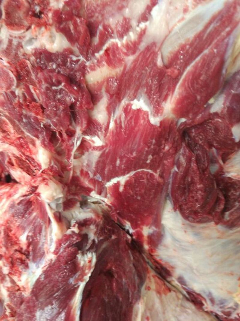 驴肉鲜货