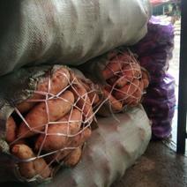 北京553红薯黄心烤红薯，烤薯界的扛把子