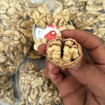 【推荐】原味云南大泡核桃仁各种规格对接地摊超市团购