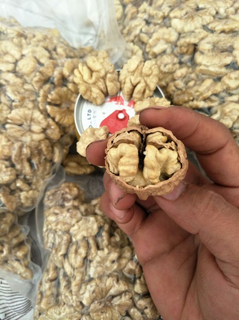 【推荐】原味云南大泡核桃仁各种规格对接地摊超市团购