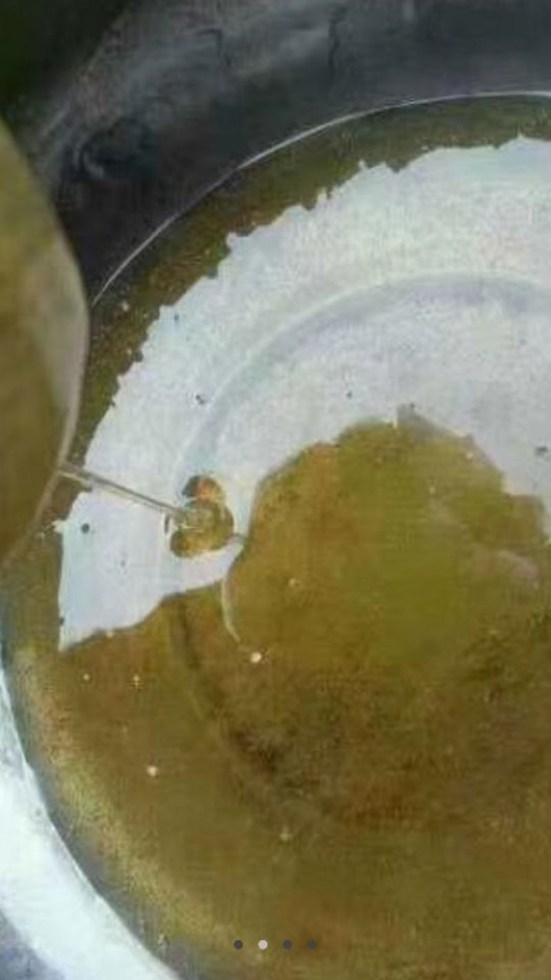 蜜蜂平箱装