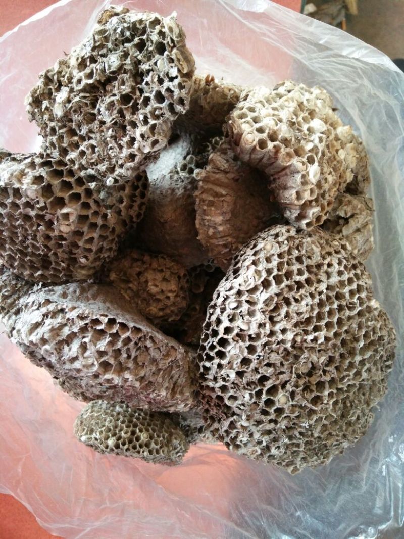 马蜂窝野蜂窝