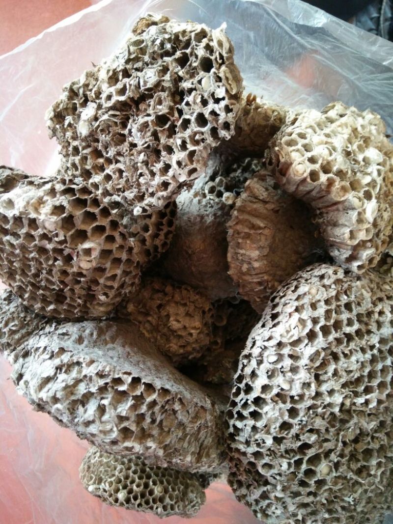 马蜂窝野蜂窝