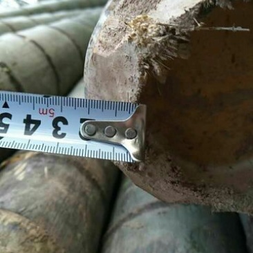 楠竹6cm以上6米以上