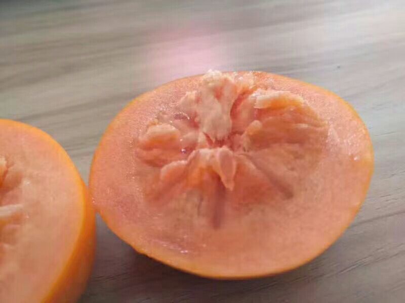 甜柿脆柿直接削皮吃收到既可吃