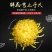 皇菊茶十盒送一盒