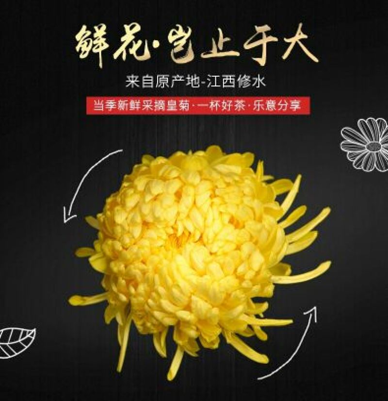皇菊茶十盒送一盒