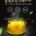 皇菊茶十盒送一盒