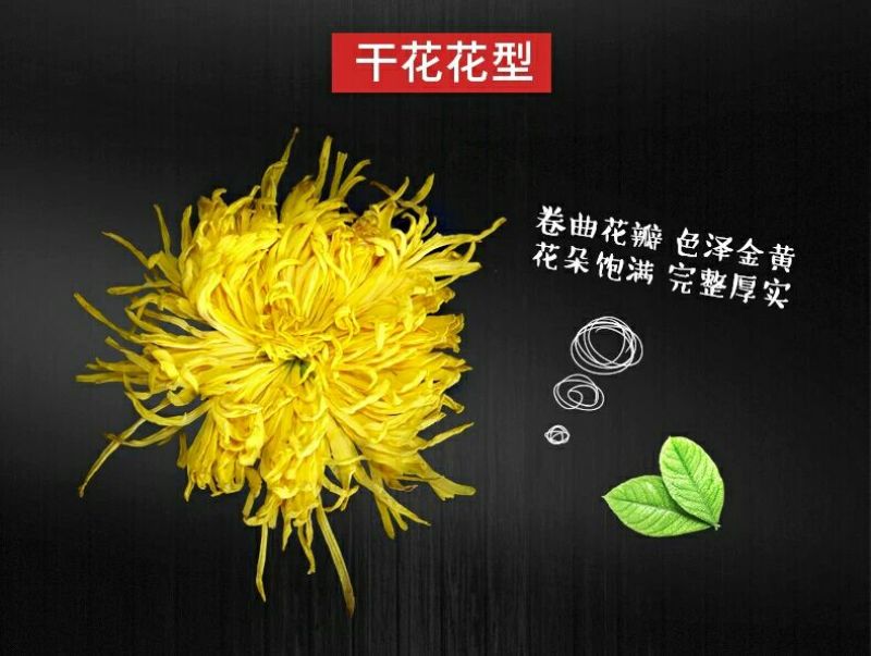 皇菊茶十盒送一盒