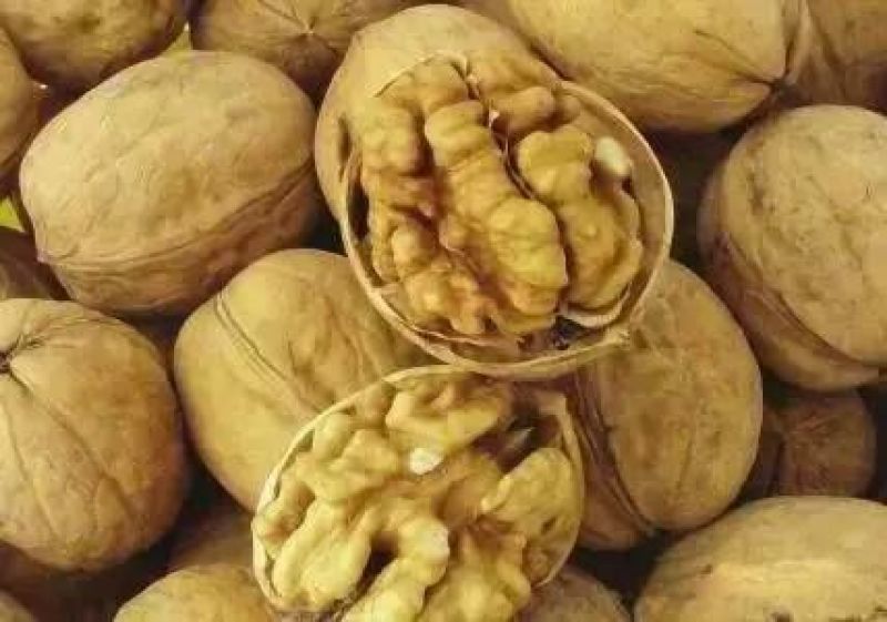 核桃去皮30mm以上干规格品种齐全高质量产地直销