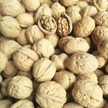 幸福核桃去皮干