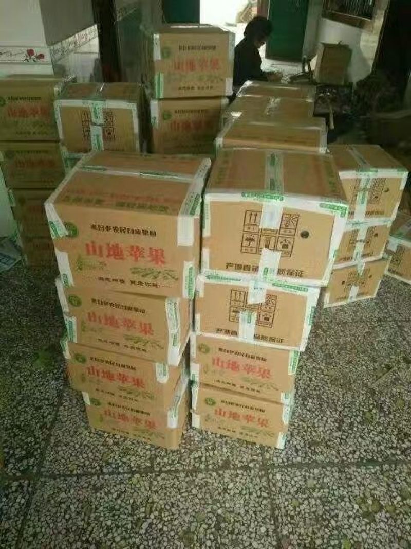 红富士苹果75mm以下膜袋
