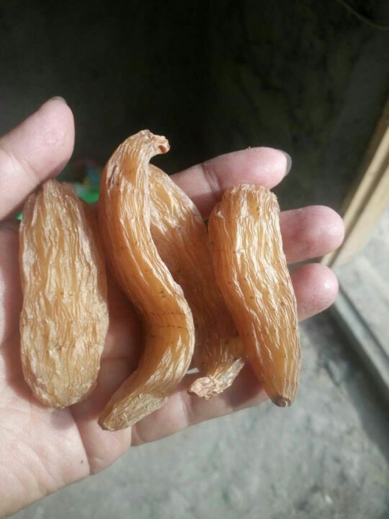 天麻特级