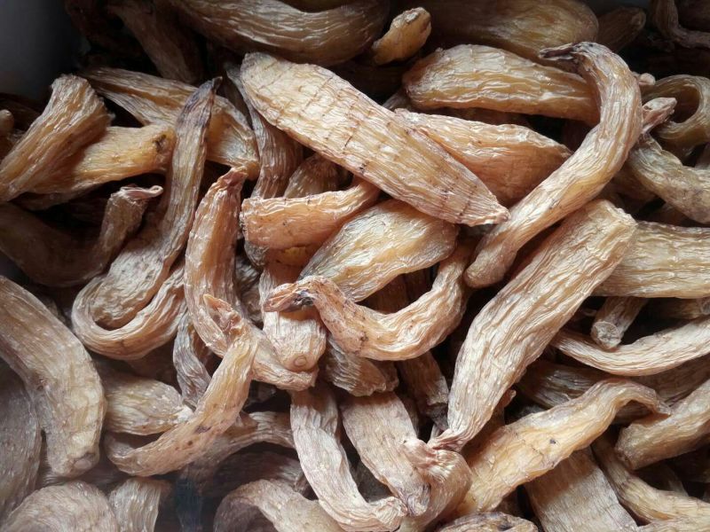 野生天麻特级