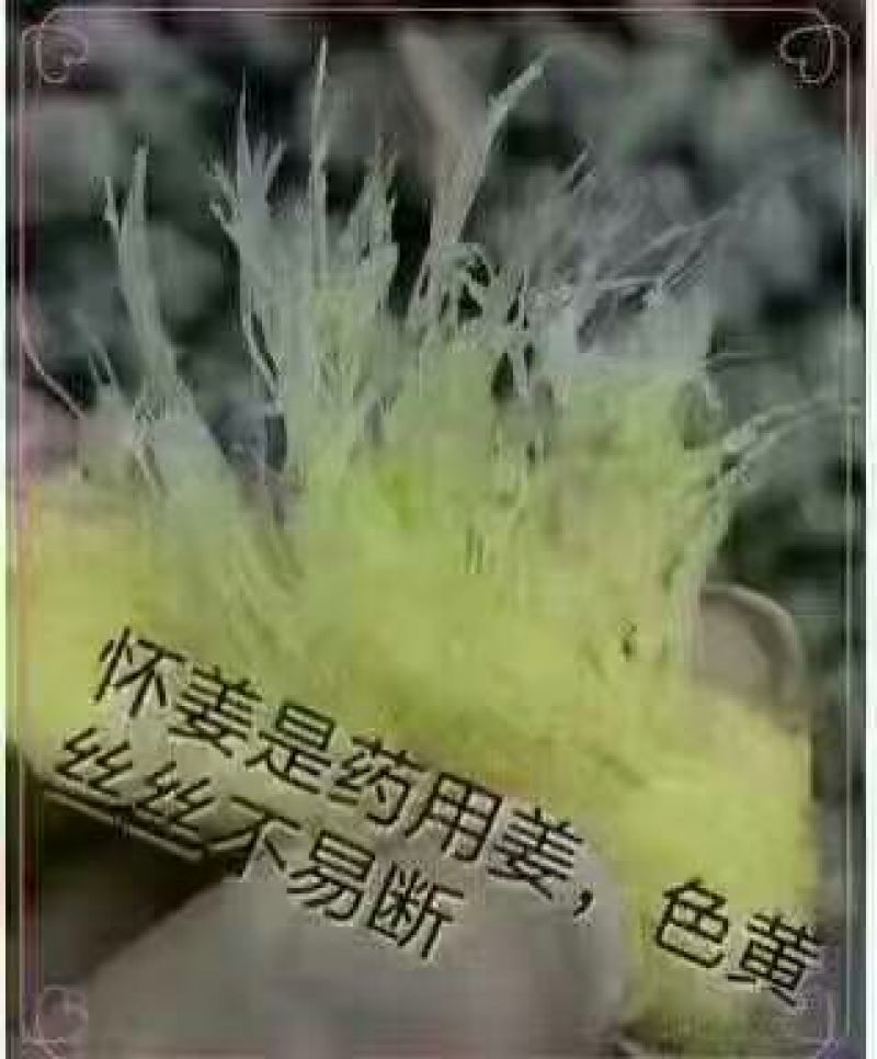 柠檬膏