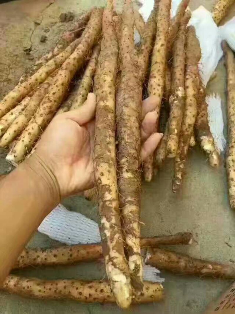 柠檬膏