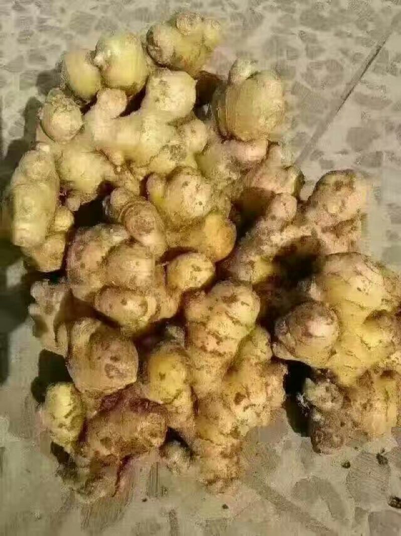 柠檬膏