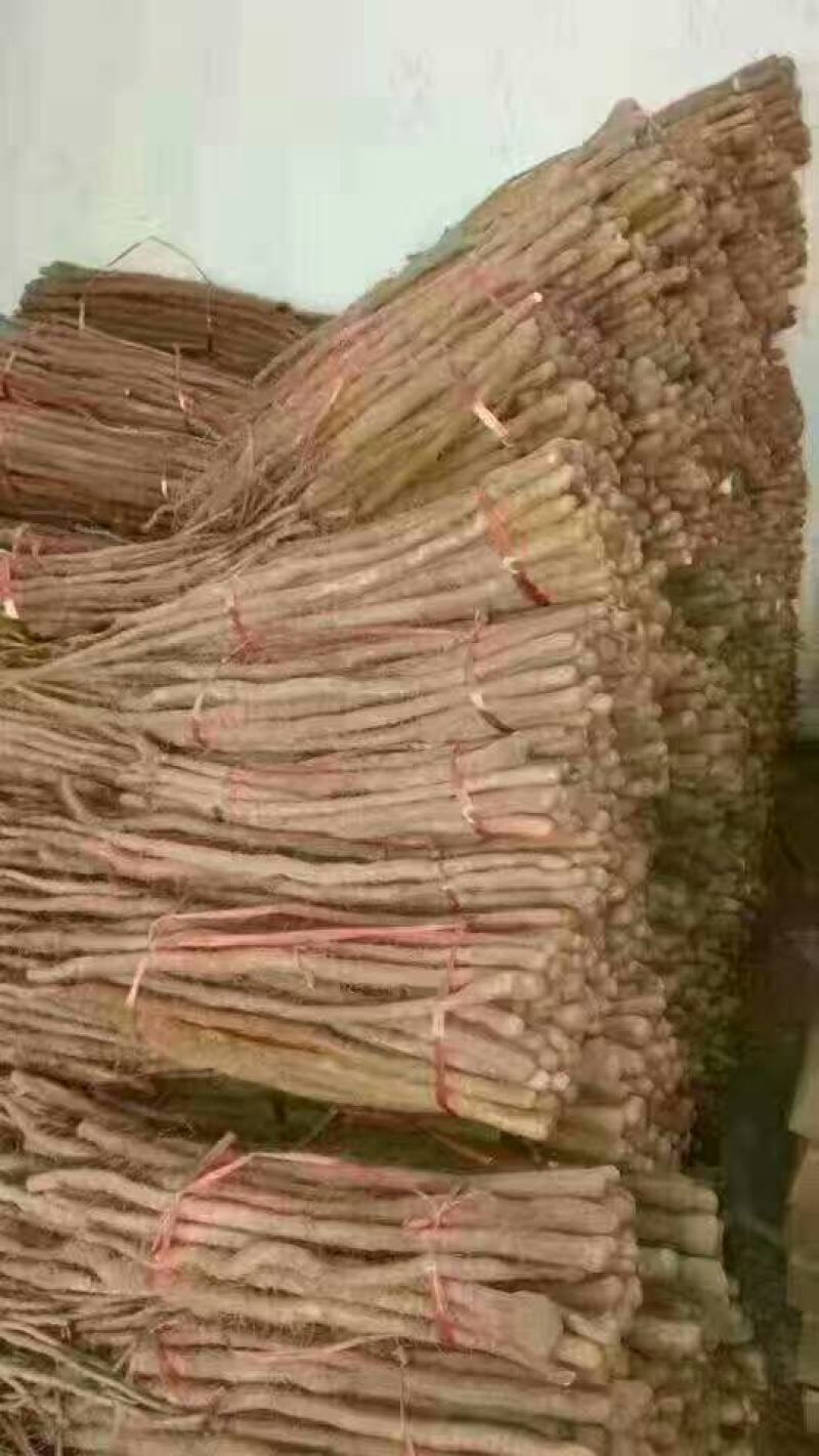 柠檬膏