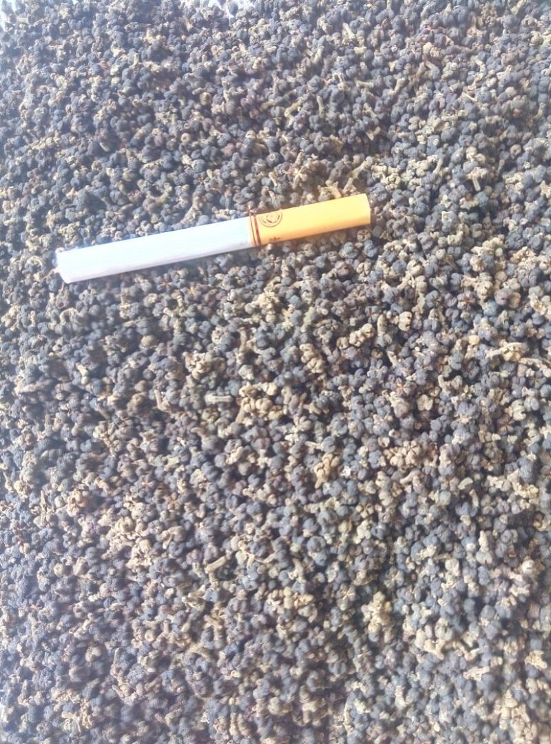 吴茱萸中花统