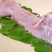 兔肉食用3~5驴肉新鲜正宗生鲜驴肉新鲜散养真空包装