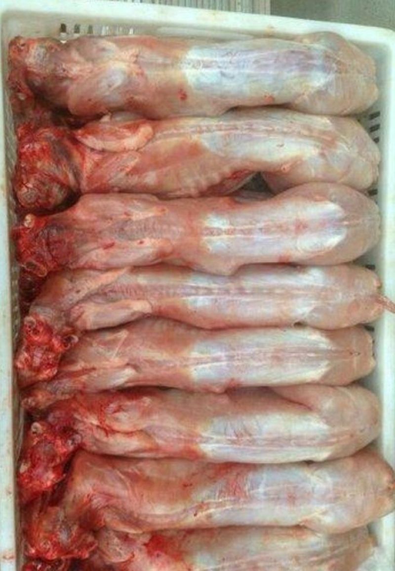 兔肉食用3~5驴肉新鲜正宗生鲜驴肉新鲜散养真空包装