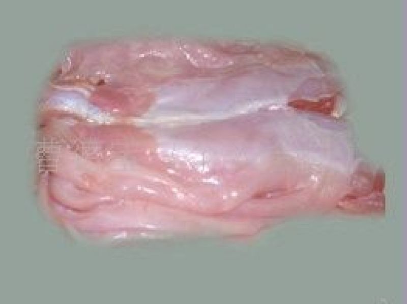 兔肉食用3~5驴肉新鲜正宗生鲜驴肉新鲜散养真空包装
