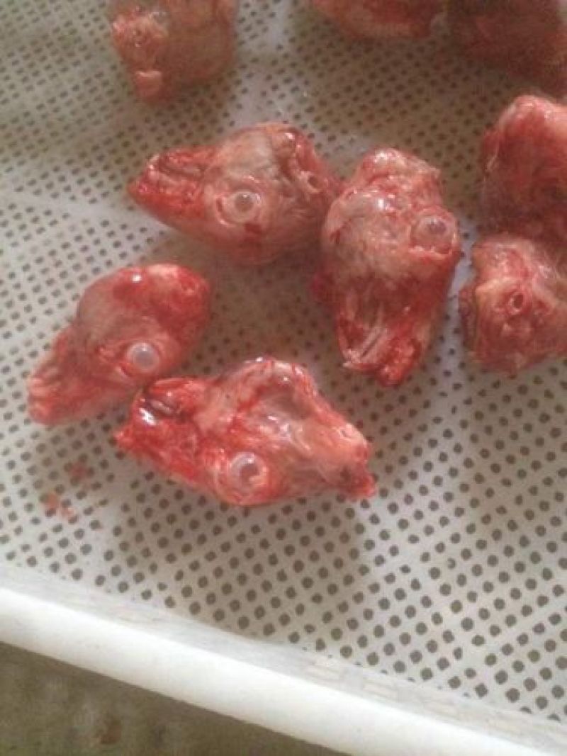 兔肉食用3~5驴肉新鲜正宗生鲜驴肉新鲜散养真空包装