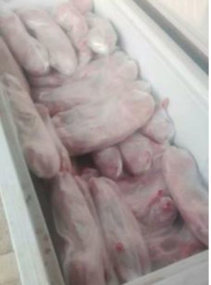 兔肉食用3~5驴肉新鲜正宗生鲜驴肉新鲜散养真空包装