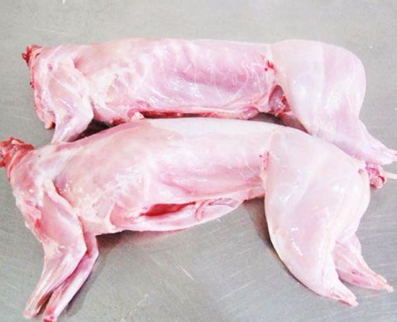 兔肉食用3~5驴肉新鲜正宗生鲜驴肉新鲜散养真空包装