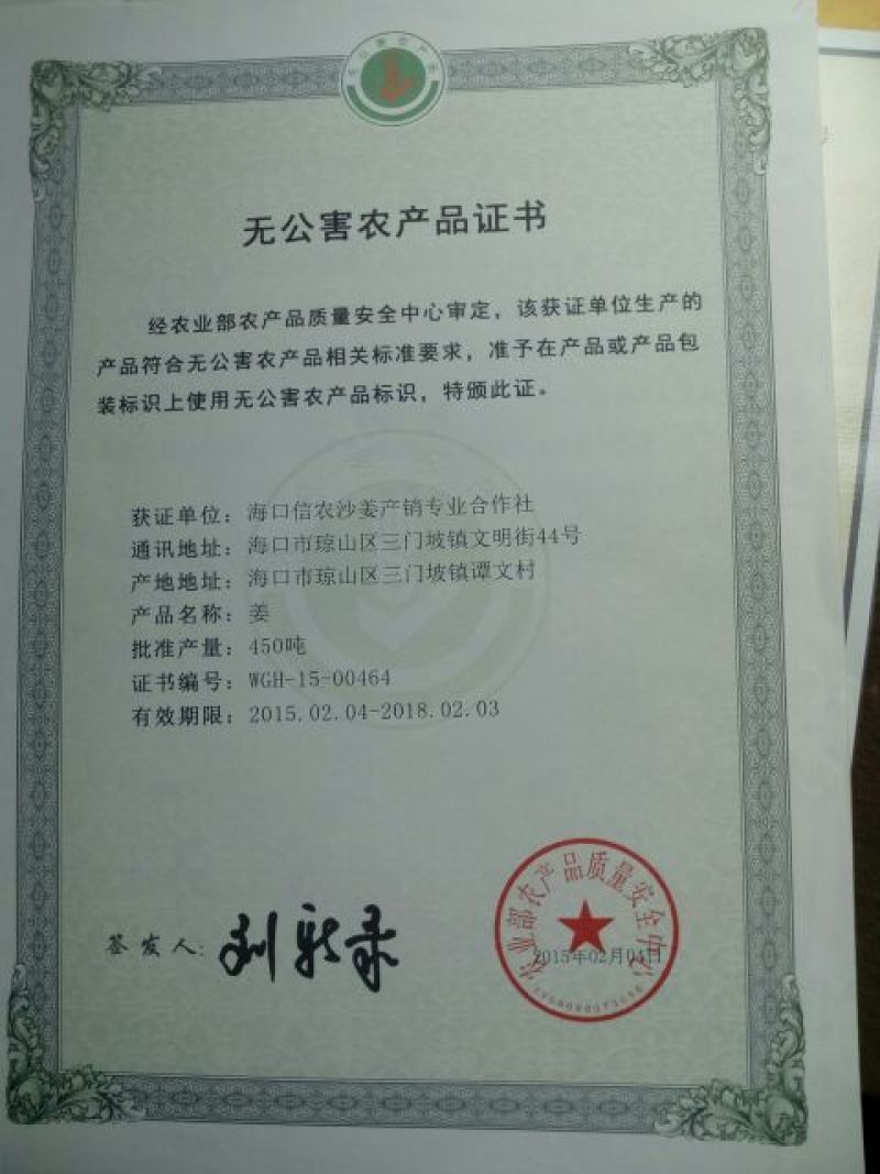 沙姜椰乡红牌沙姜。