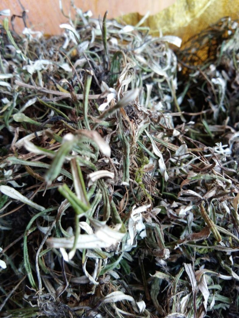 天青地白草火草，色青，新货，包邮