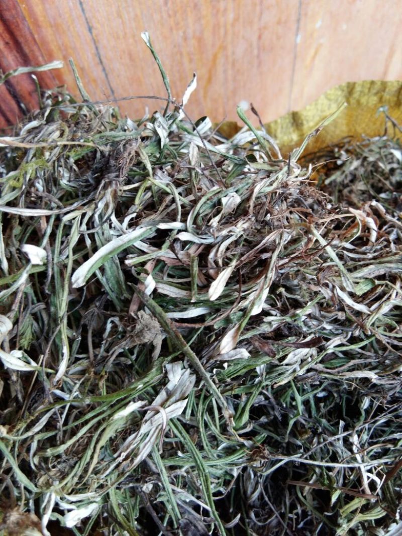 天青地白草火草，色青，新货，包邮