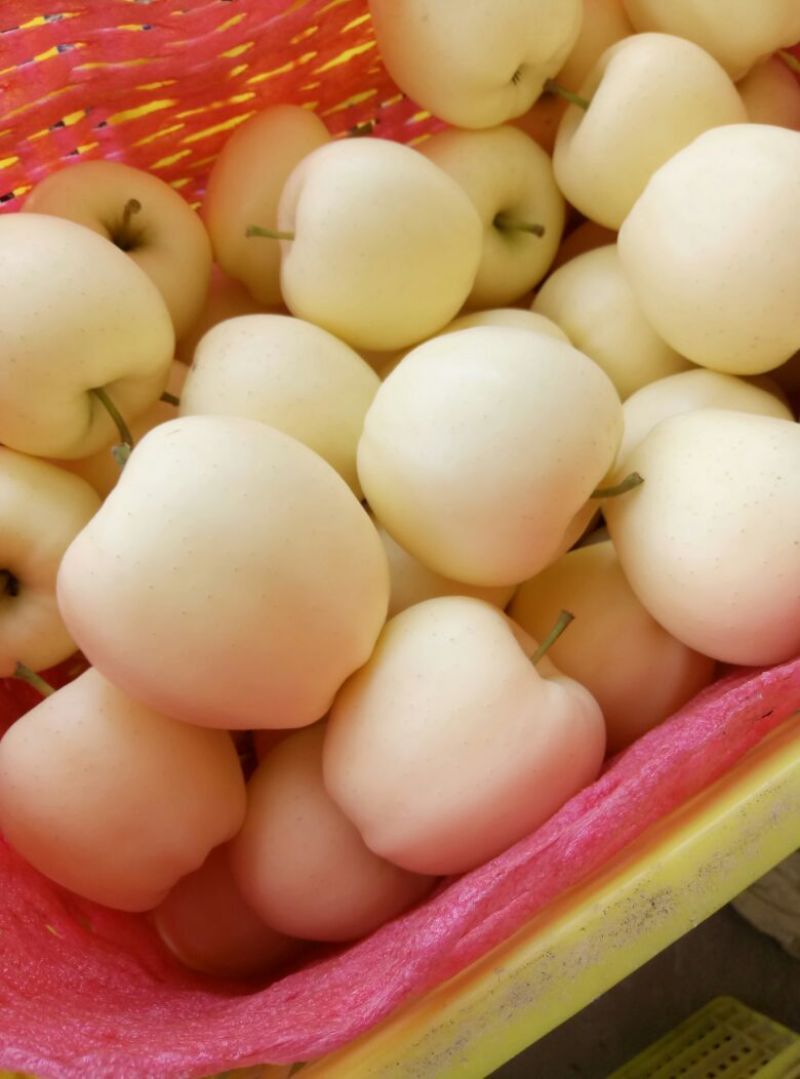 金帅苹果75mm以上纸+膜袋