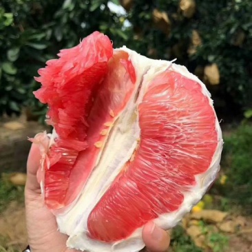 红心柚白心柚产地直供，皮毛光滑细腻，水分足口感超甜。