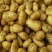 大白花土豆通货3两以上