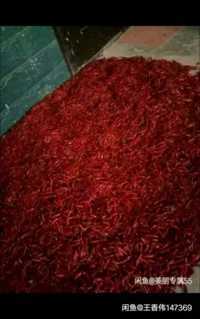 鲜辣椒15~20厘米中辣红