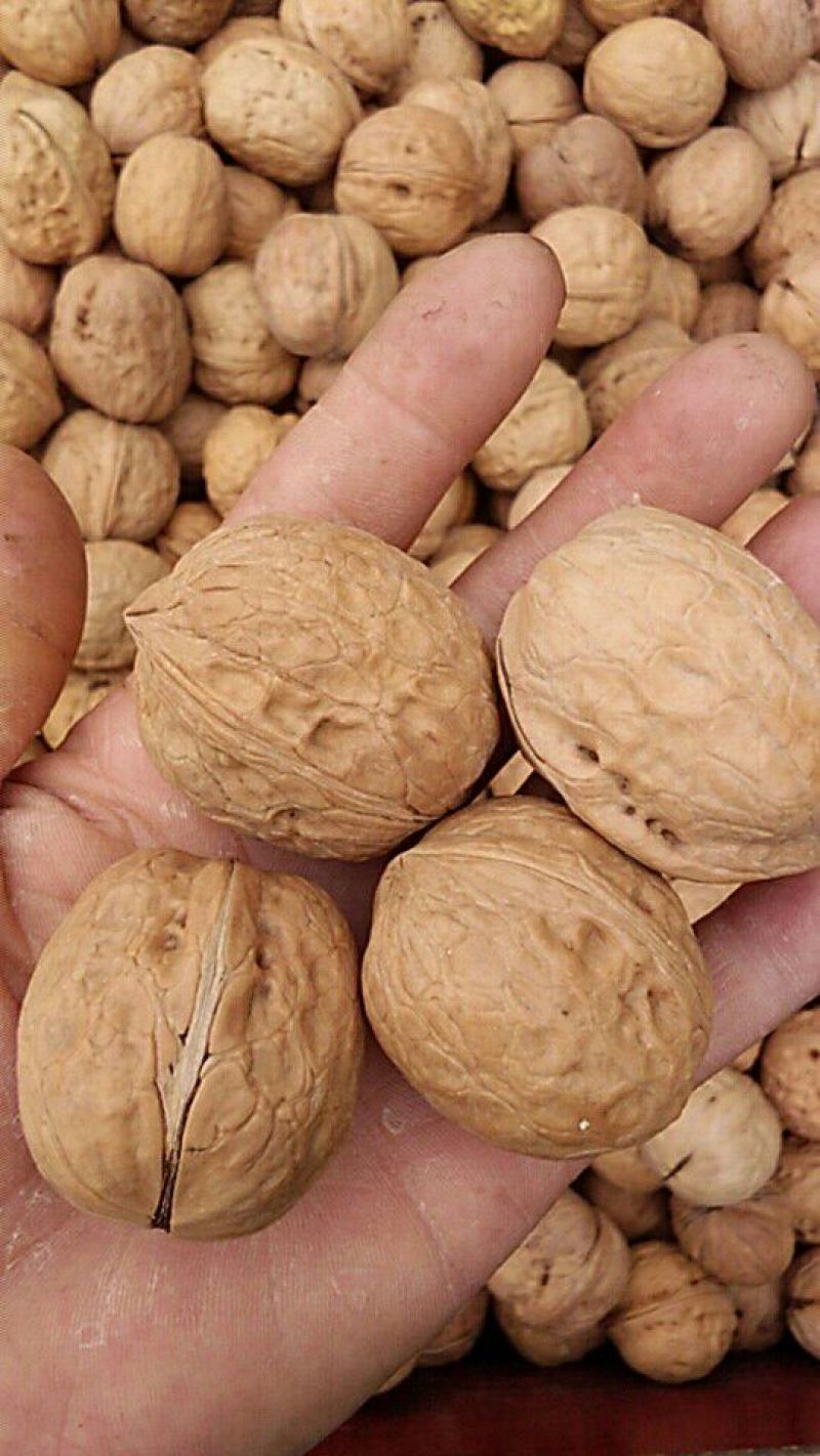 新疆薄皮核桃去皮30mm以上干今年新货