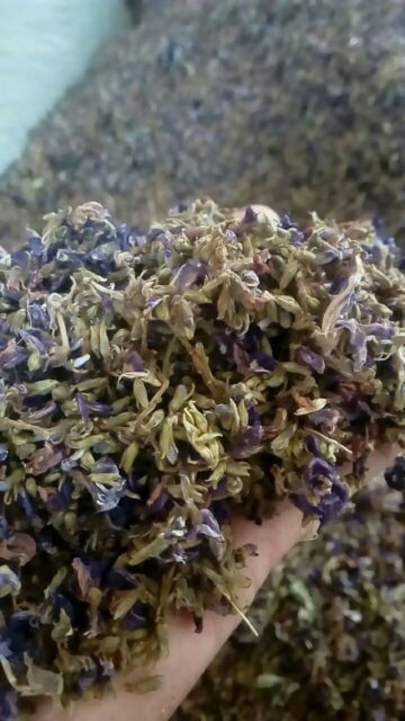 葛花小葛花