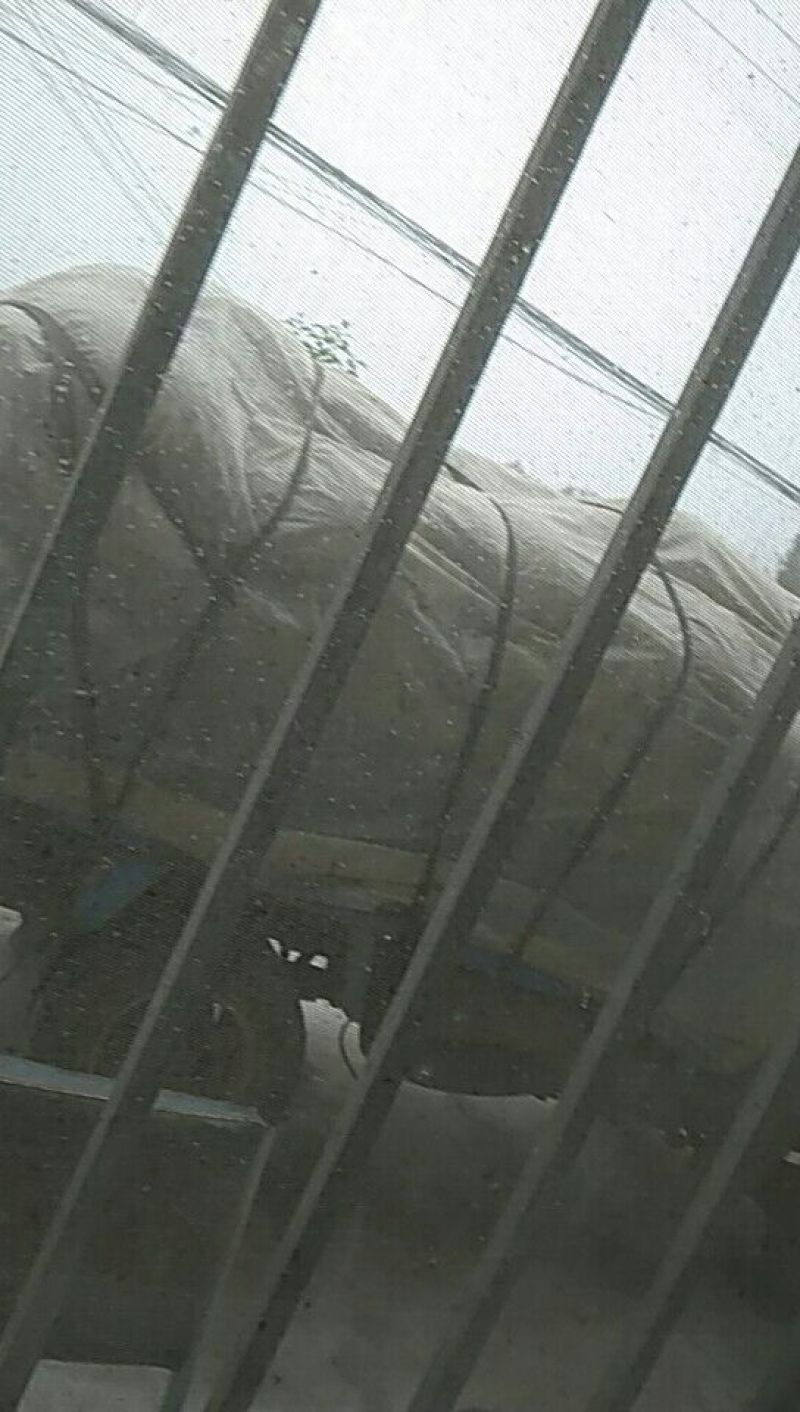 米糠